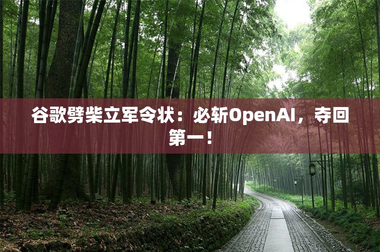 谷歌劈柴立军令状：必斩OpenAI，夺回第一！