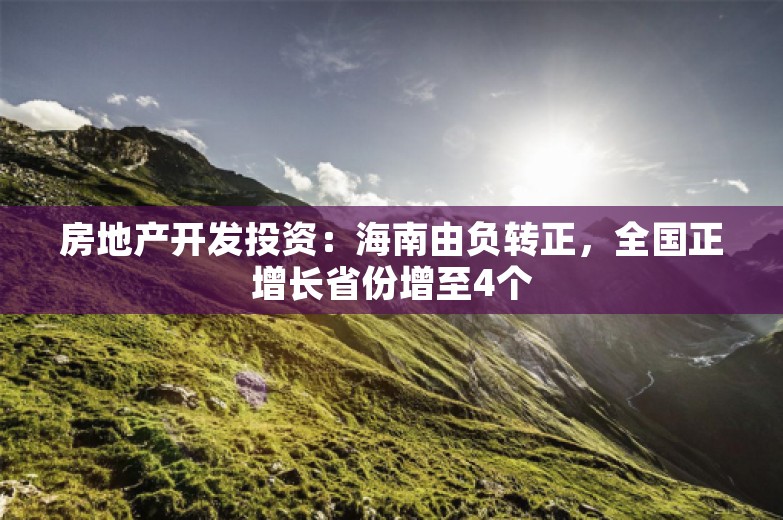 房地产开发投资：海南由负转正，全国正增长省份增至4个