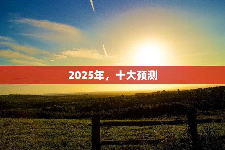 2025年，十大预测