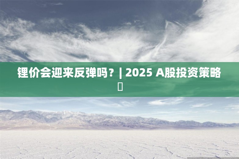 锂价会迎来反弹吗？| 2025 A股投资策略⑬