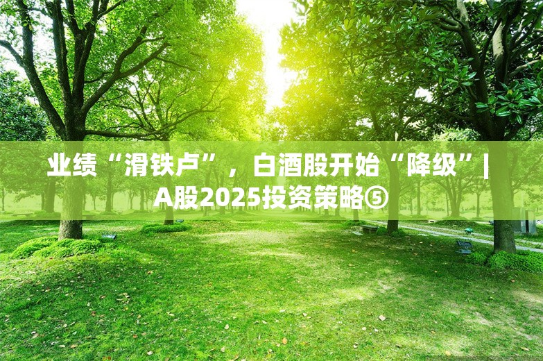 业绩“滑铁卢”，白酒股开始“降级”| A股2025投资策略⑤