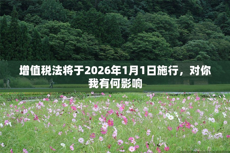 增值税法将于2026年1月1日施行，对你我有何影响