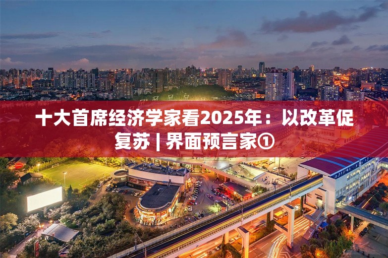 十大首席经济学家看2025年：以改革促复苏 | 界面预言家①