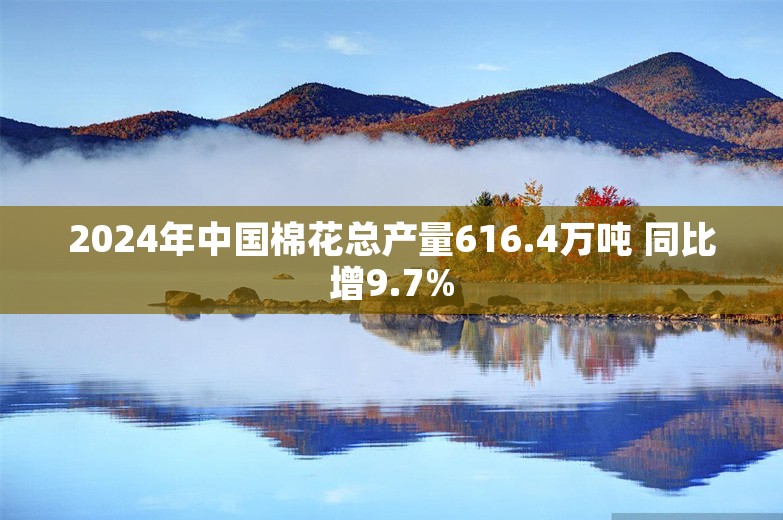 2024年中国棉花总产量616.4万吨 同比增9.7%