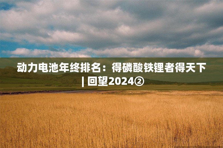 动力电池年终排名：得磷酸铁锂者得天下 | 回望2024②