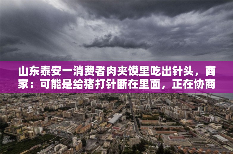 山东泰安一消费者肉夹馍里吃出针头，商家：可能是给猪打针断在里面，正在协商