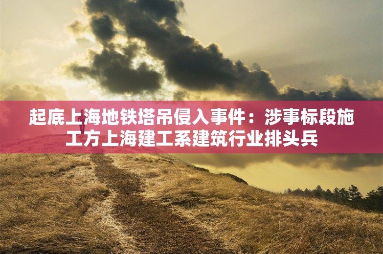 起底上海地铁塔吊侵入事件：涉事标段施工方上海建工系建筑行业排头兵