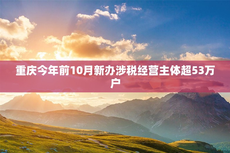 重庆今年前10月新办涉税经营主体超53万户