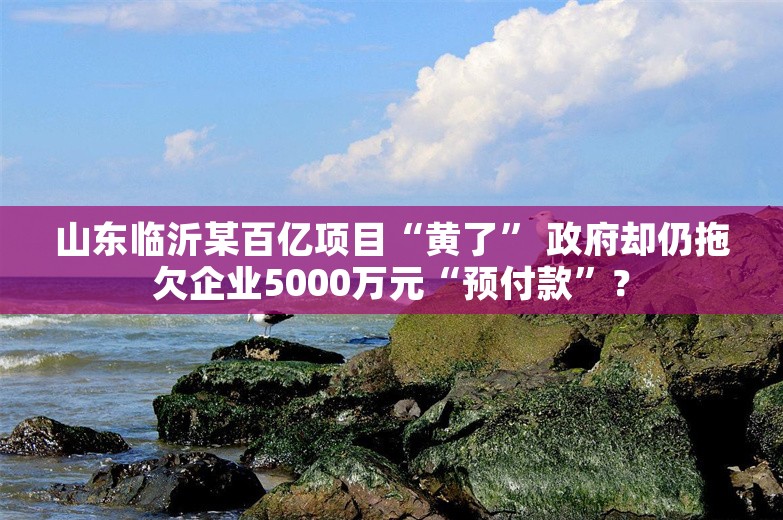 山东临沂某百亿项目“黄了” 政府却仍拖欠企业5000万元“预付款”？