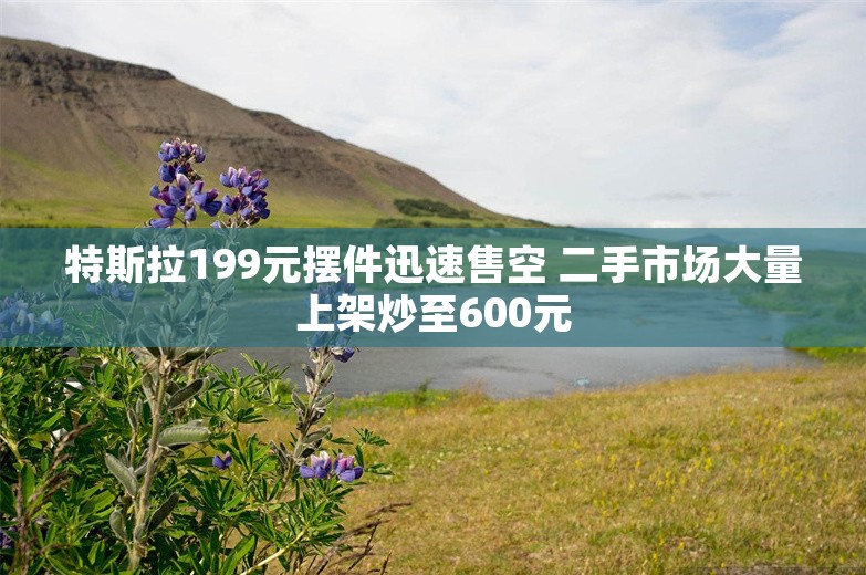 特斯拉199元摆件迅速售空 二手市场大量上架炒至600元