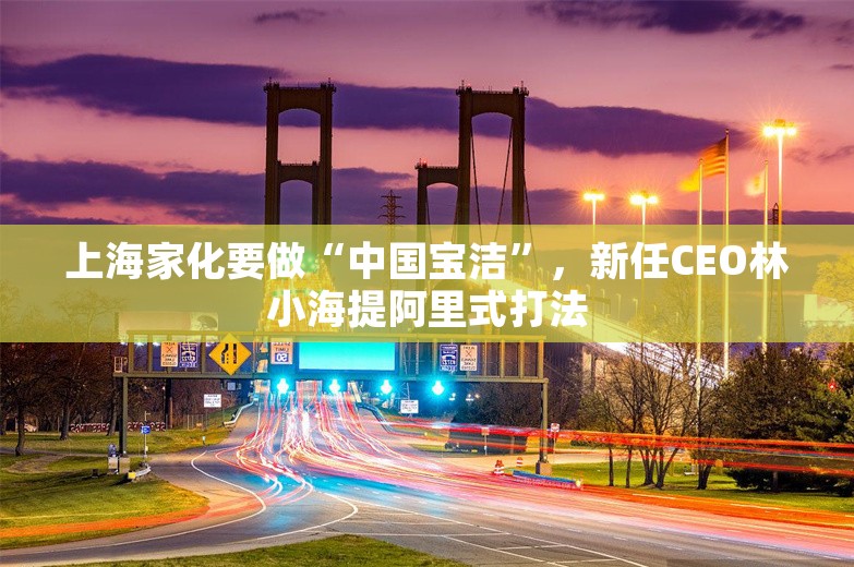 上海家化要做“中国宝洁”，新任CEO林小海提阿里式打法