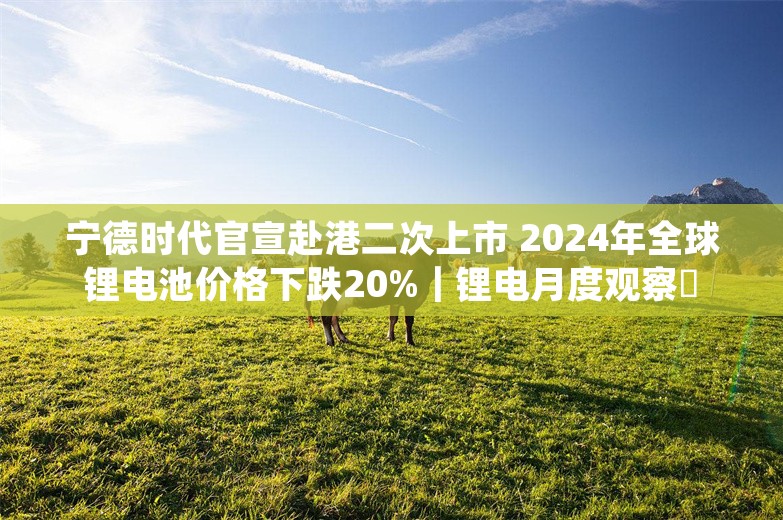 宁德时代官宣赴港二次上市 2024年全球锂电池价格下跌20%｜锂电月度观察⑫