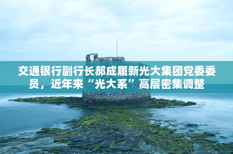 交通银行副行长郝成履新光大集团党委委员，近年来“光大系”高层密集调整