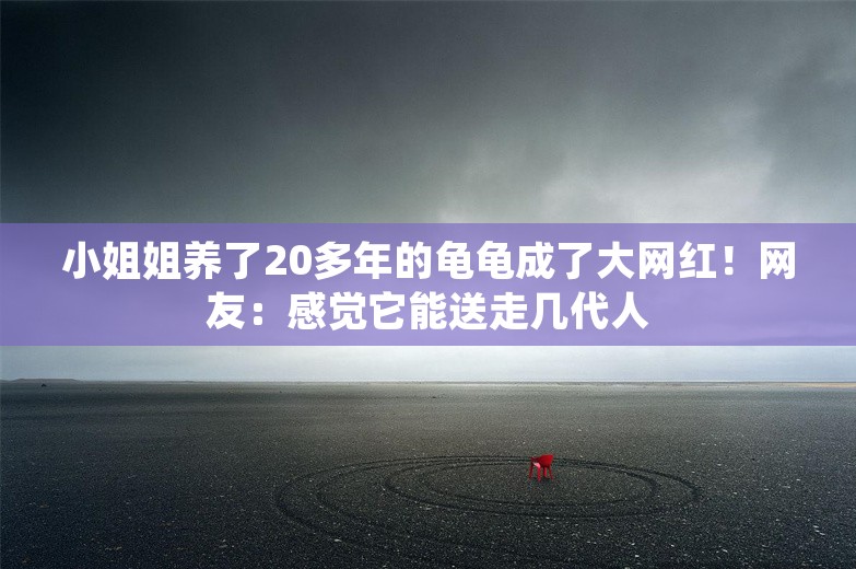 小姐姐养了20多年的龟龟成了大网红！网友：感觉它能送走几代人