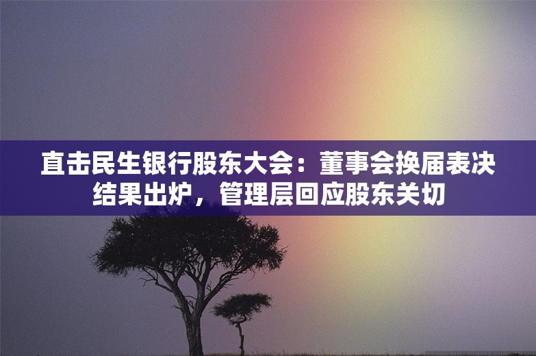 直击民生银行股东大会：董事会换届表决结果出炉，管理层回应股东关切