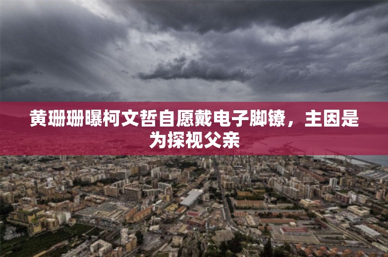 黄珊珊曝柯文哲自愿戴电子脚镣，主因是为探视父亲