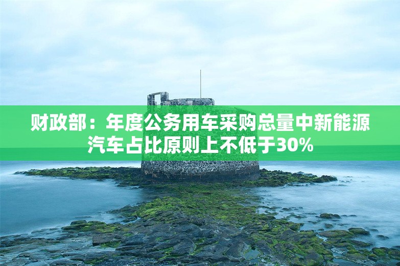 财政部：年度公务用车采购总量中新能源汽车占比原则上不低于30%