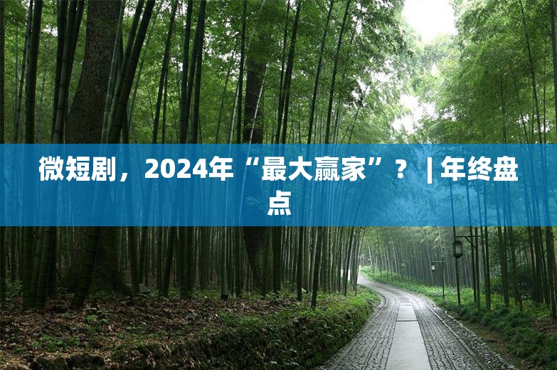 微短剧，2024年“最大赢家”？ | 年终盘点