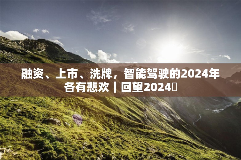 融资、上市、洗牌，智能驾驶的2024年各有悲欢｜回望2024⑯