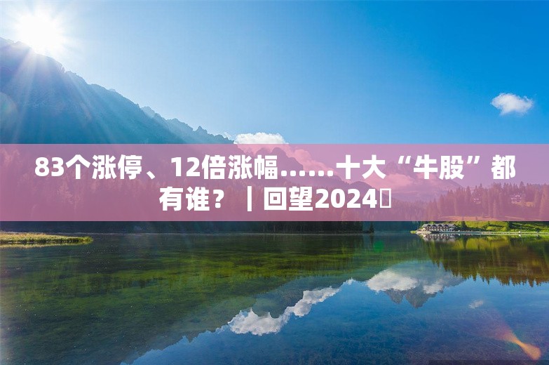 83个涨停、12倍涨幅……十大“牛股”都有谁？｜回望2024⑮