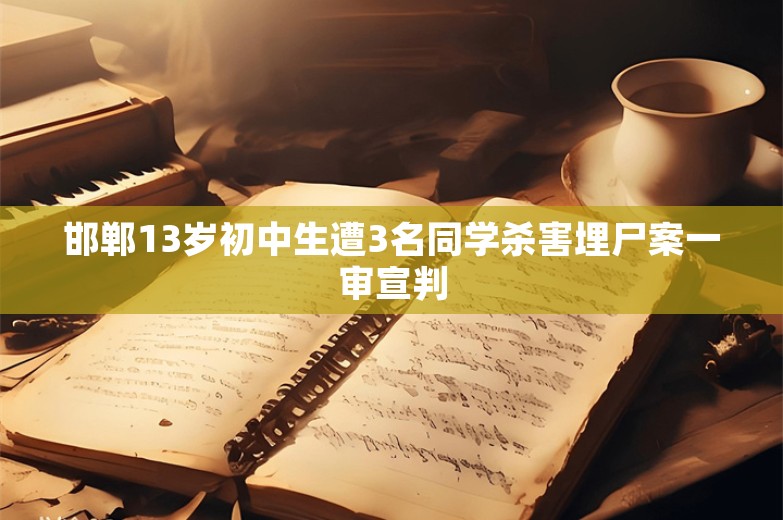 邯郸13岁初中生遭3名同学杀害埋尸案一审宣判