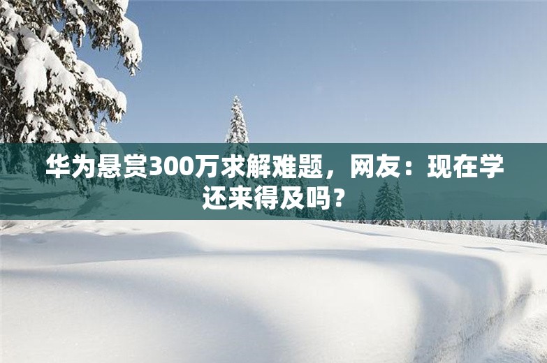 华为悬赏300万求解难题，网友：现在学还来得及吗？