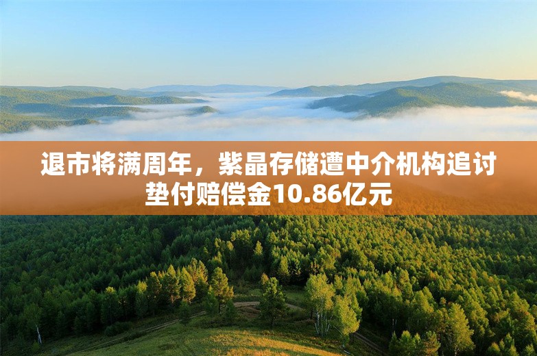 退市将满周年，紫晶存储遭中介机构追讨垫付赔偿金10.86亿元