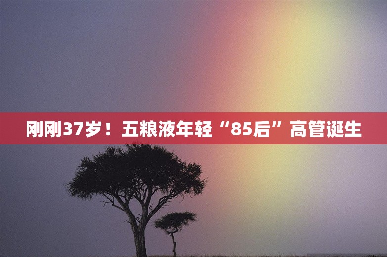 刚刚37岁！五粮液年轻“85后”高管诞生