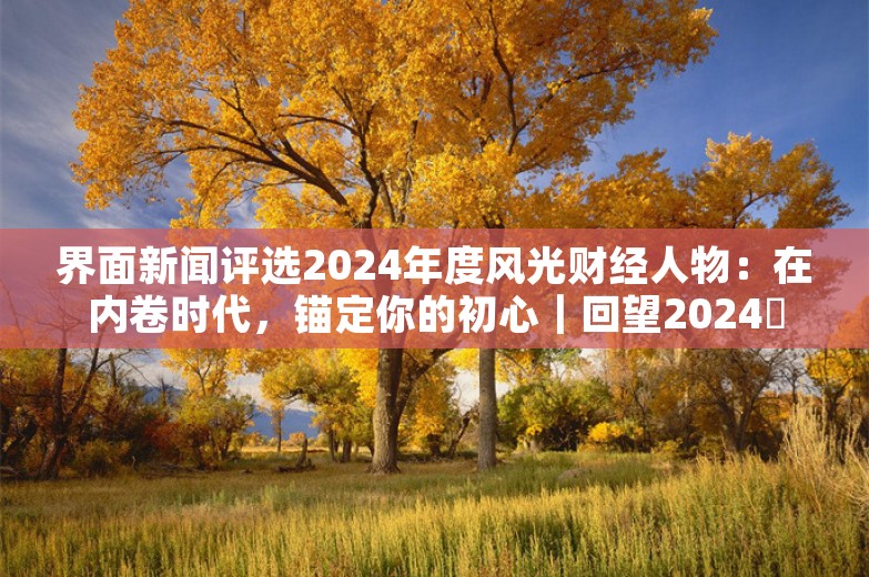 界面新闻评选2024年度风光财经人物：在内卷时代，锚定你的初心｜回望2024⑰