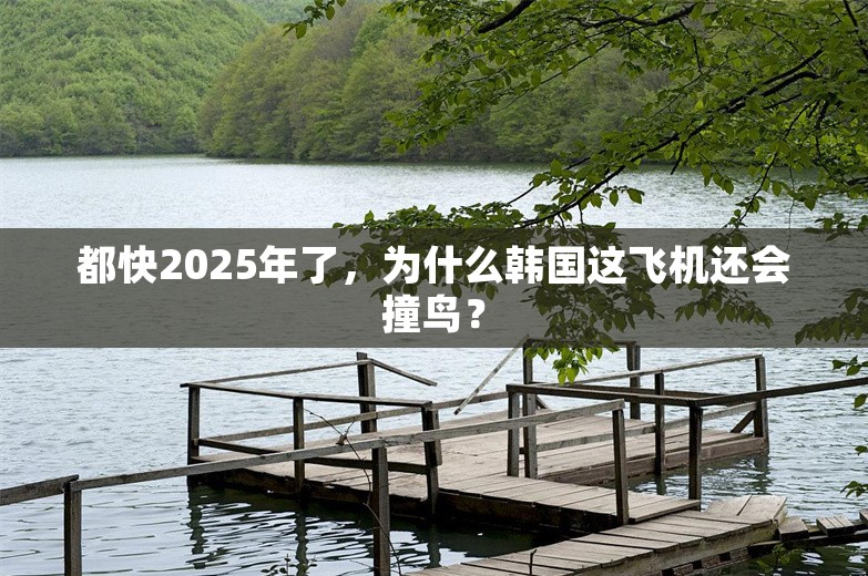 都快2025年了，为什么韩国这飞机还会撞鸟？