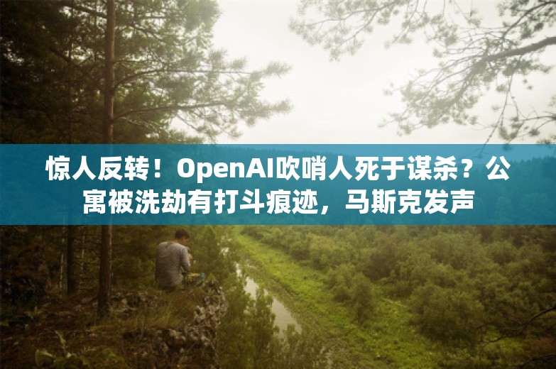 惊人反转！OpenAI吹哨人死于谋杀？公寓被洗劫有打斗痕迹，马斯克发声