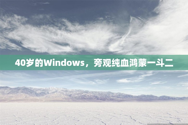 40岁的Windows，旁观纯血鸿蒙一斗二