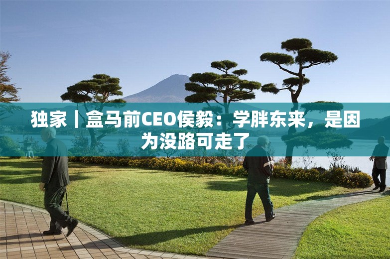 独家｜盒马前CEO侯毅：学胖东来，是因为没路可走了