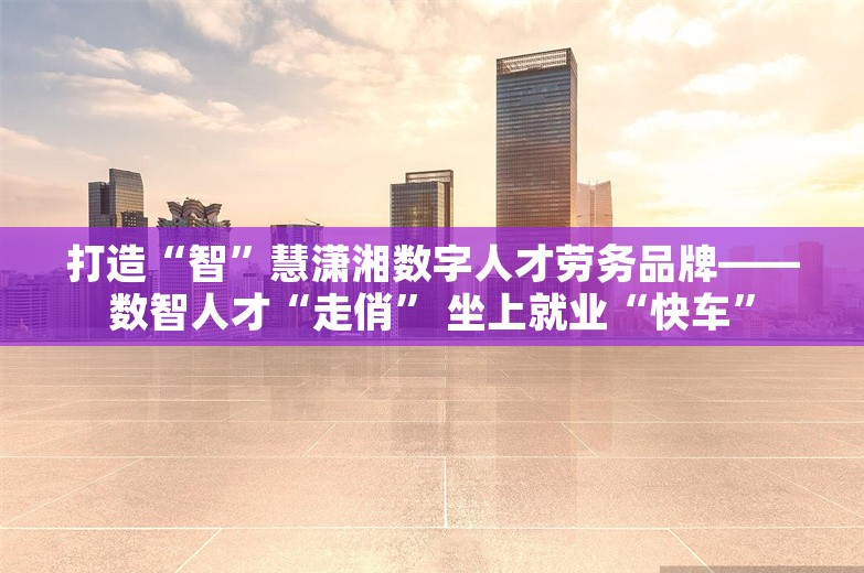 打造“智”慧潇湘数字人才劳务品牌——数智人才“走俏” 坐上就业“快车”