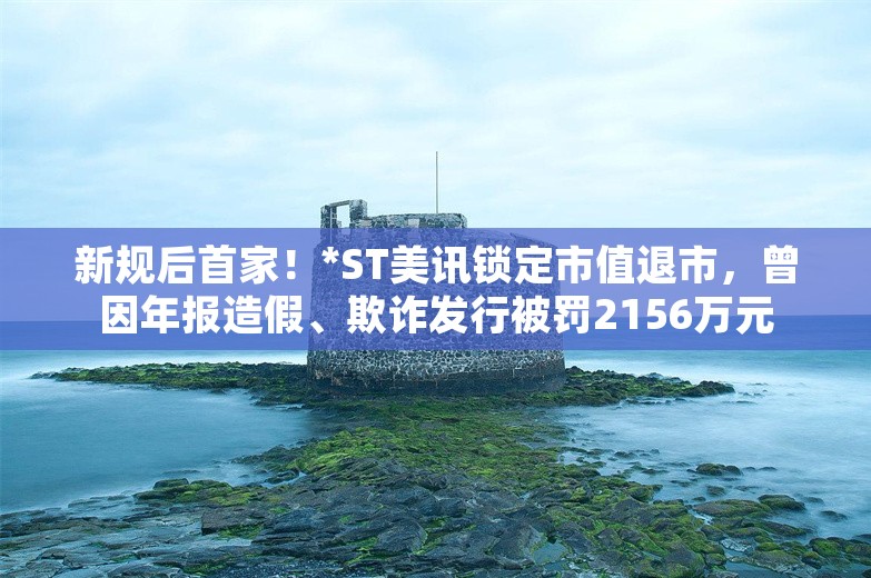 新规后首家！*ST美讯锁定市值退市，曾因年报造假、欺诈发行被罚2156万元