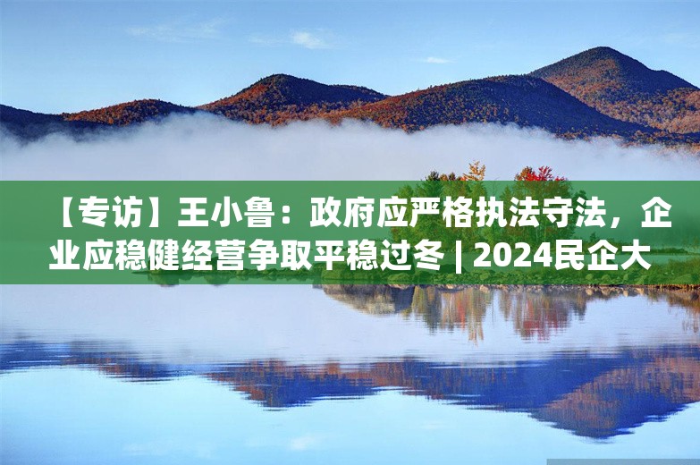 【专访】王小鲁：政府应严格执法守法，企业应稳健经营争取平稳过冬 | 2024民企大调研⑭