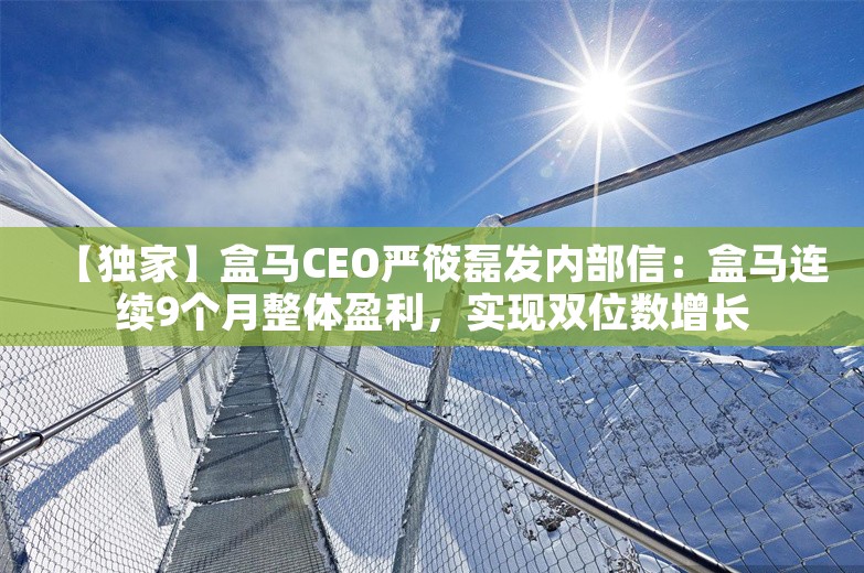 【独家】盒马CEO严筱磊发内部信：盒马连续9个月整体盈利，实现双位数增长