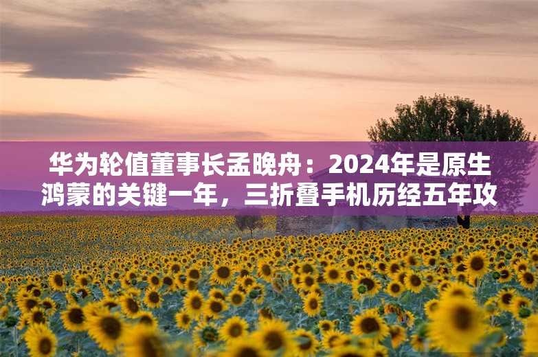 华为轮值董事长孟晚舟：2024年是原生鸿蒙的关键一年，三折叠手机历经五年攻关