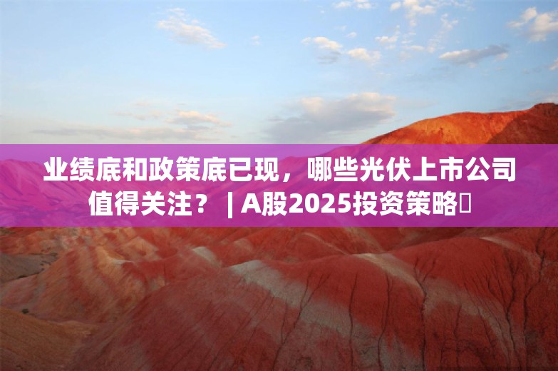 业绩底和政策底已现，哪些光伏上市公司值得关注？ | A股2025投资策略⑮