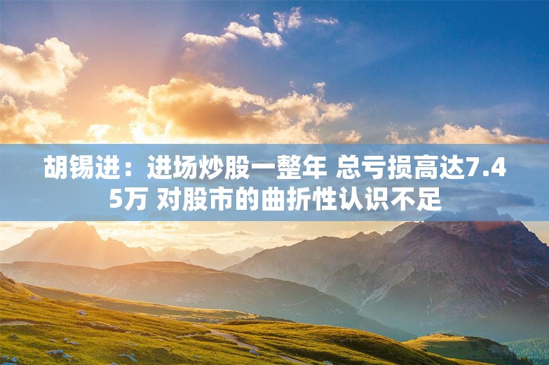 胡锡进：进场炒股一整年 总亏损高达7.45万 对股市的曲折性认识不足