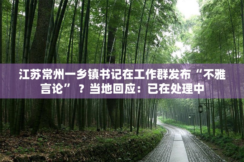 江苏常州一乡镇书记在工作群发布“不雅言论” ？当地回应：已在处理中