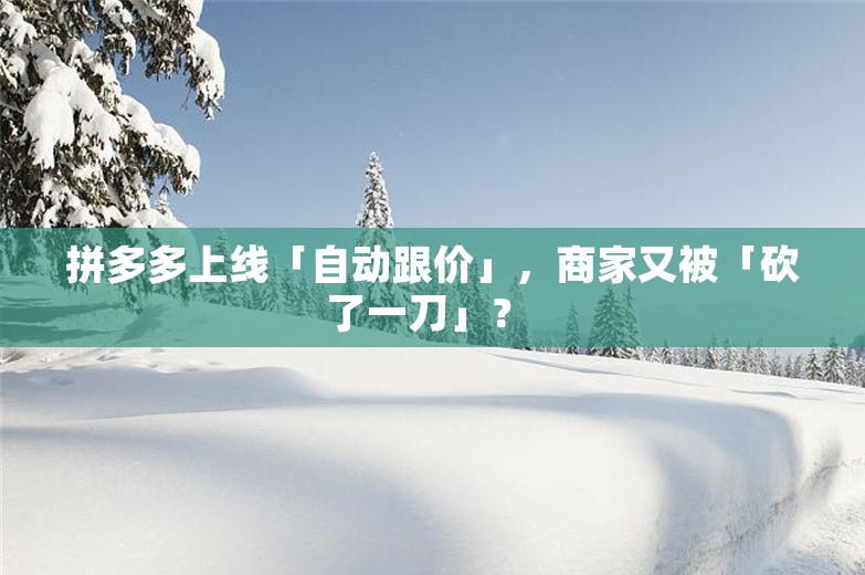 拼多多上线「自动跟价」，商家又被「砍了一刀」？ 