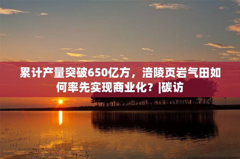 累计产量突破650亿方，涪陵页岩气田如何率先实现商业化？|碳访