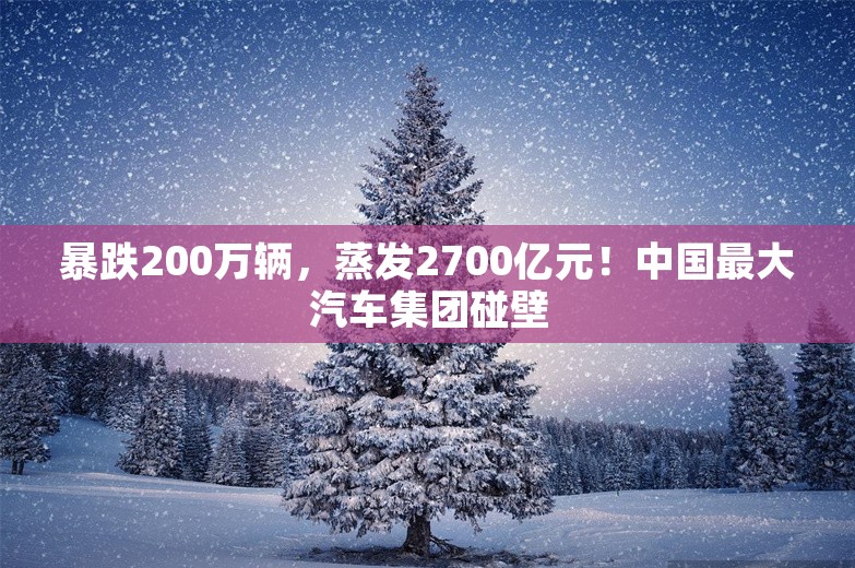 暴跌200万辆，蒸发2700亿元！中国最大汽车集团碰壁