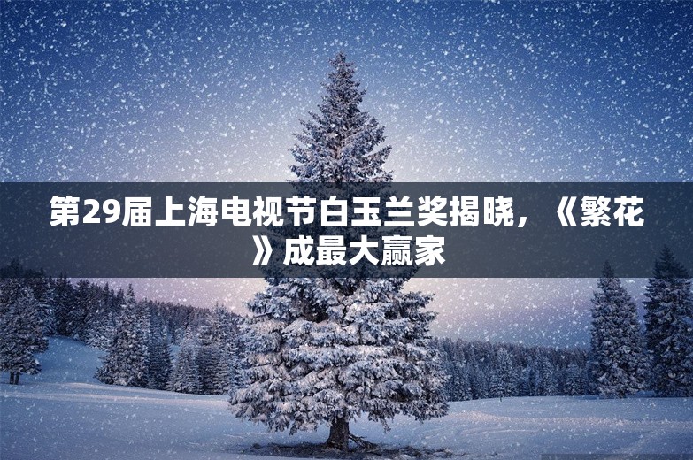 第29届上海电视节白玉兰奖揭晓，《繁花》成最大赢家