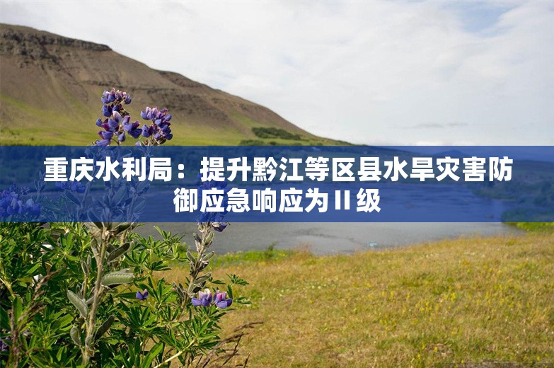 重庆水利局：提升黔江等区县水旱灾害防御应急响应为Ⅱ级