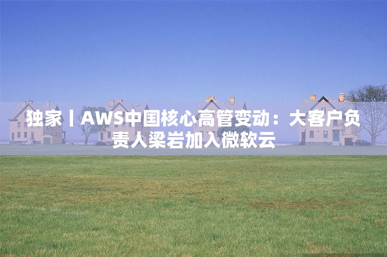 独家丨AWS中国核心高管变动：大客户负责人梁岩加入微软云