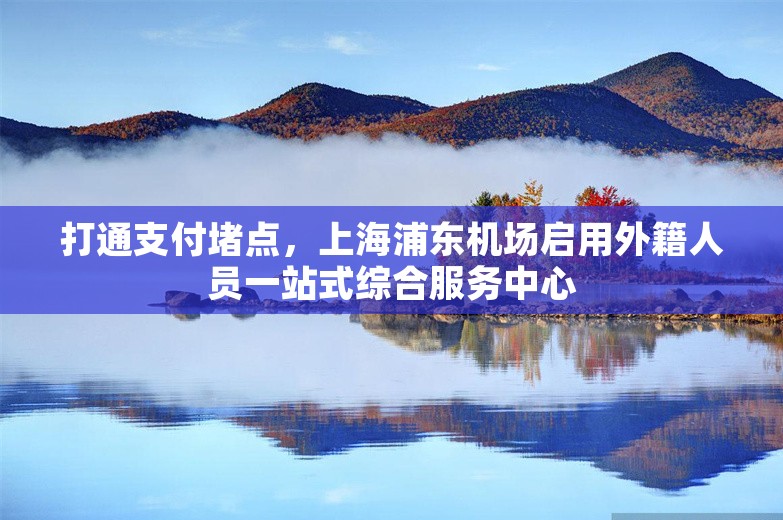 打通支付堵点，上海浦东机场启用外籍人员一站式综合服务中心