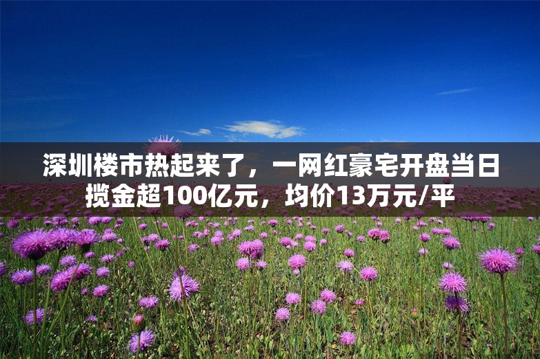 深圳楼市热起来了，一网红豪宅开盘当日揽金超100亿元，均价13万元/平