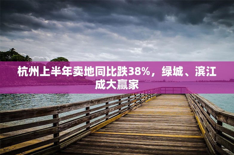 杭州上半年卖地同比跌38%，绿城、滨江成大赢家